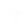 iNaturalist